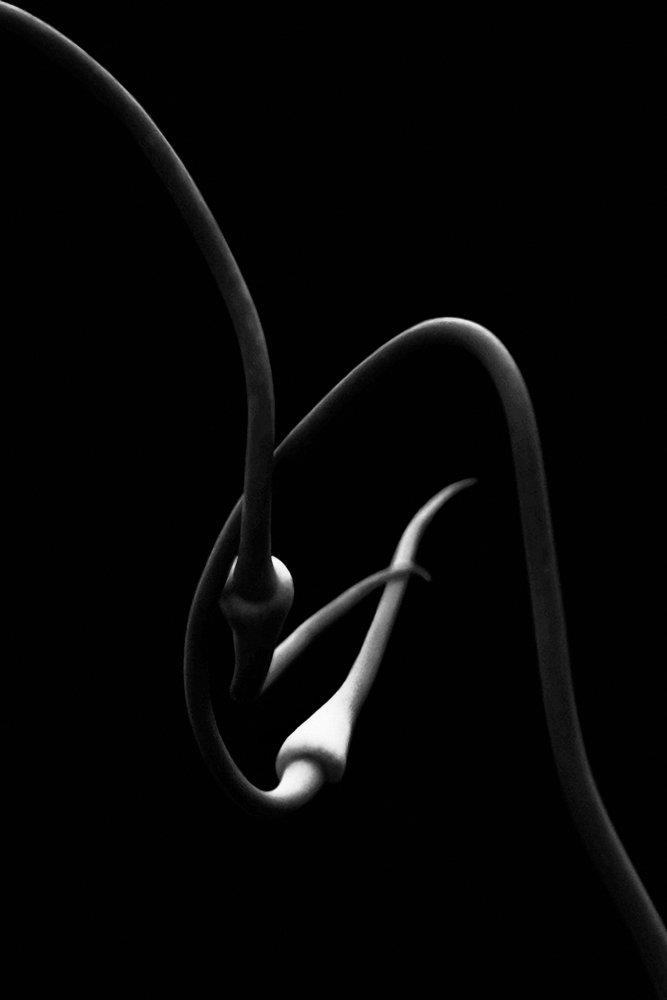 Фотография автора Юрий