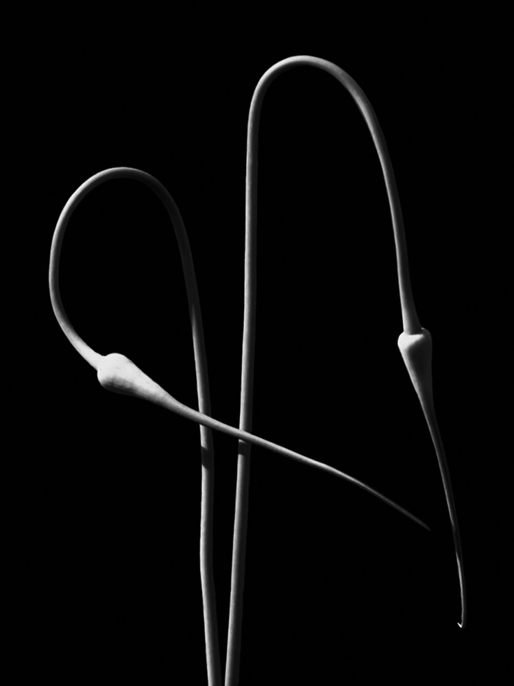 Фотография автора Юрий