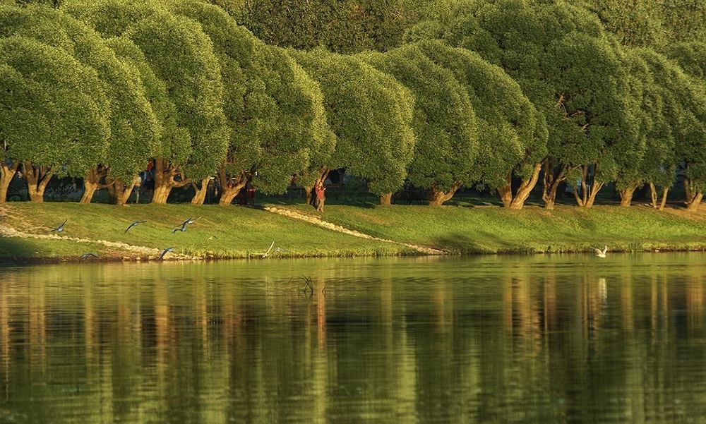 Фотография автора Юрий