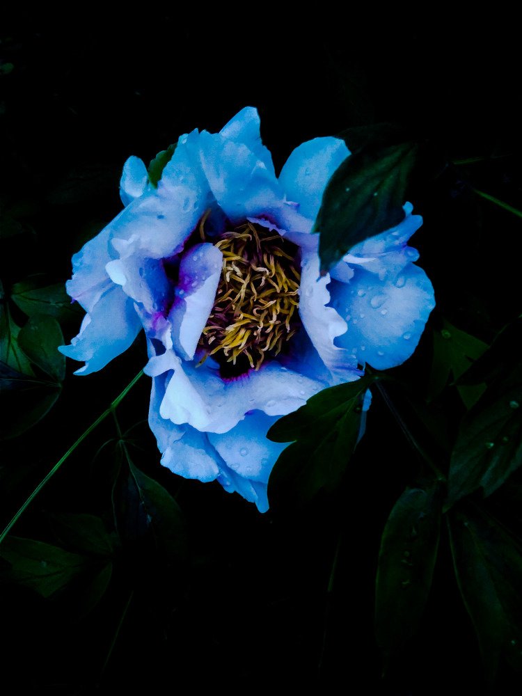 Photograph by Алёна Лысенко