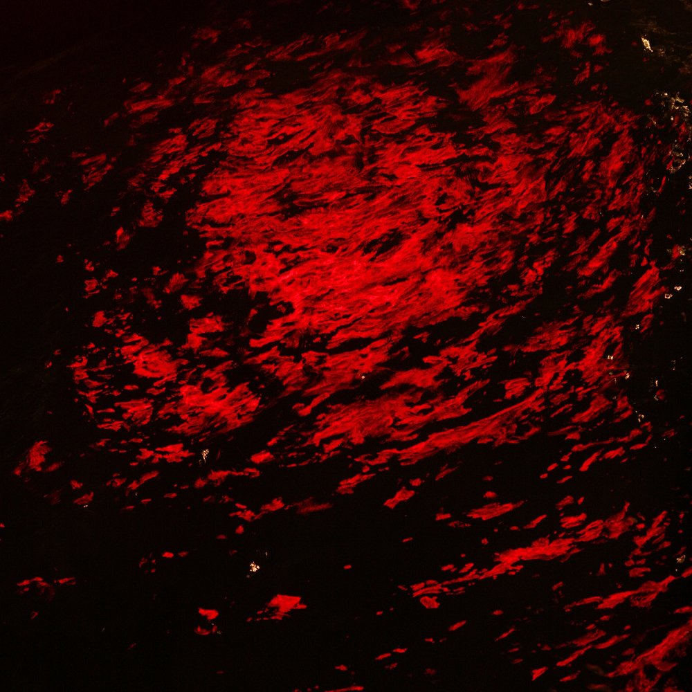 Фотография автора Юрий