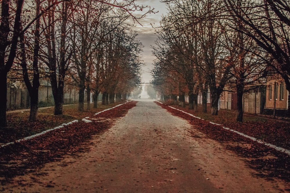 Photograph by Володимир Білоцькій