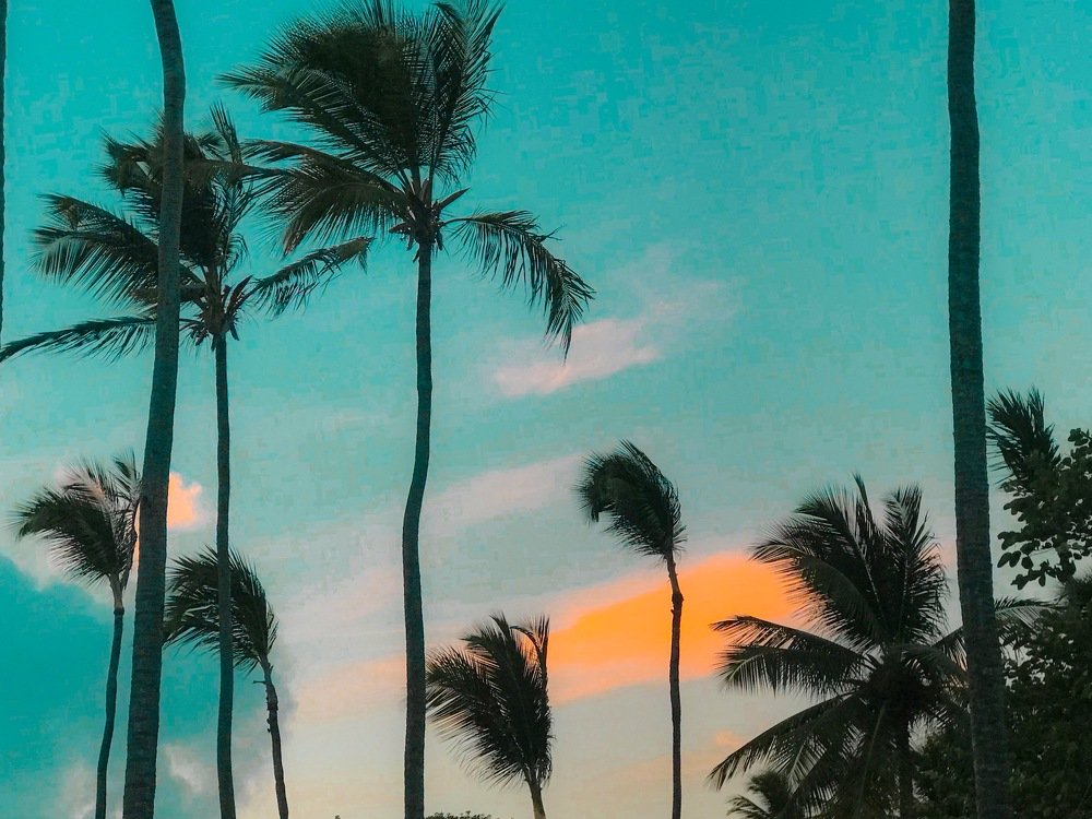 GTA Vice City