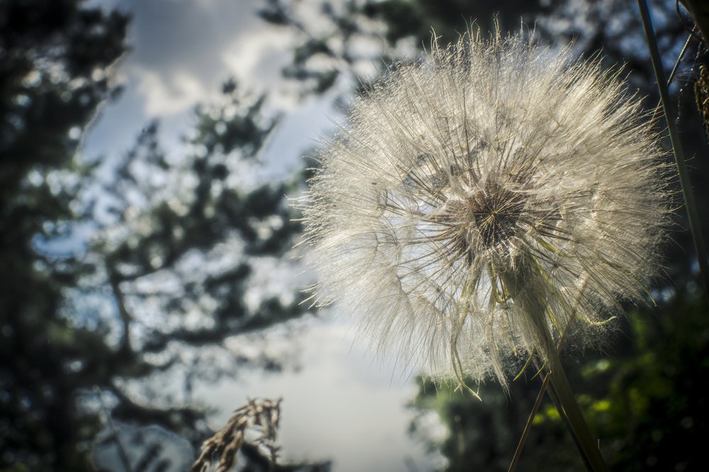 Photograph by Володимир Білоцькій