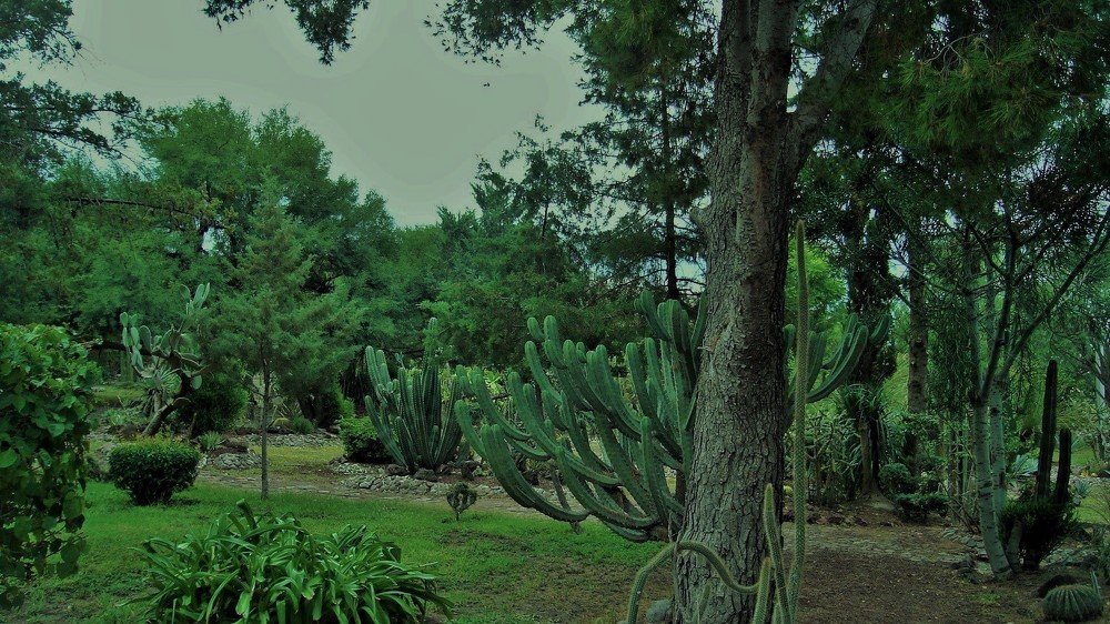 Photograph by Maricarmen Herrejon