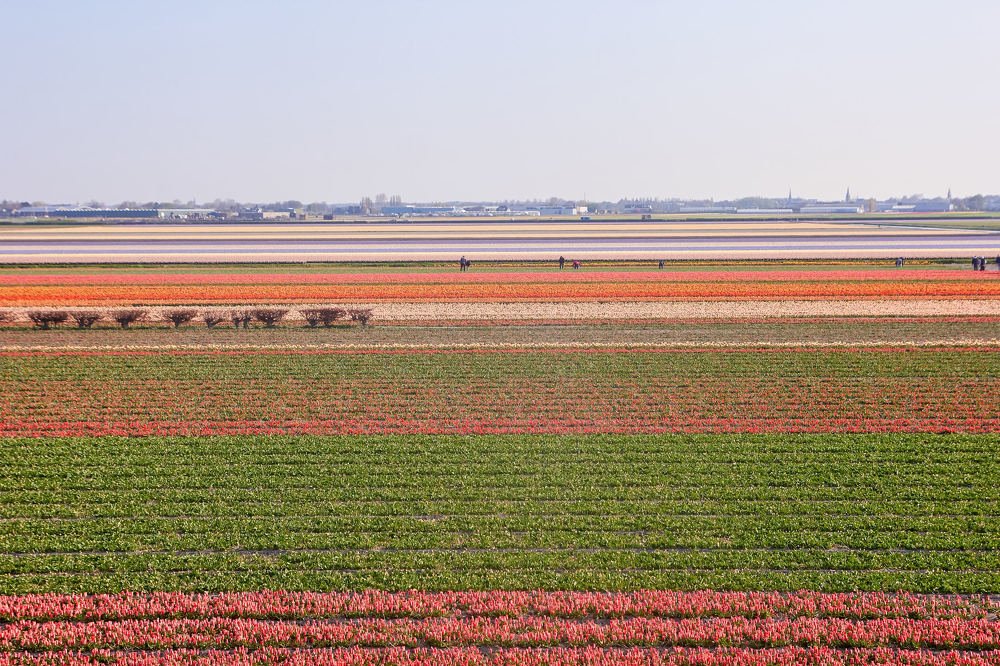 Photograph by Константин Кузнецов