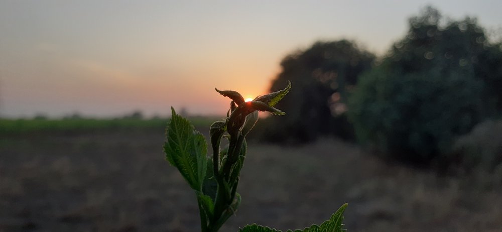 Фотография автора HIMANSHU MISTRY