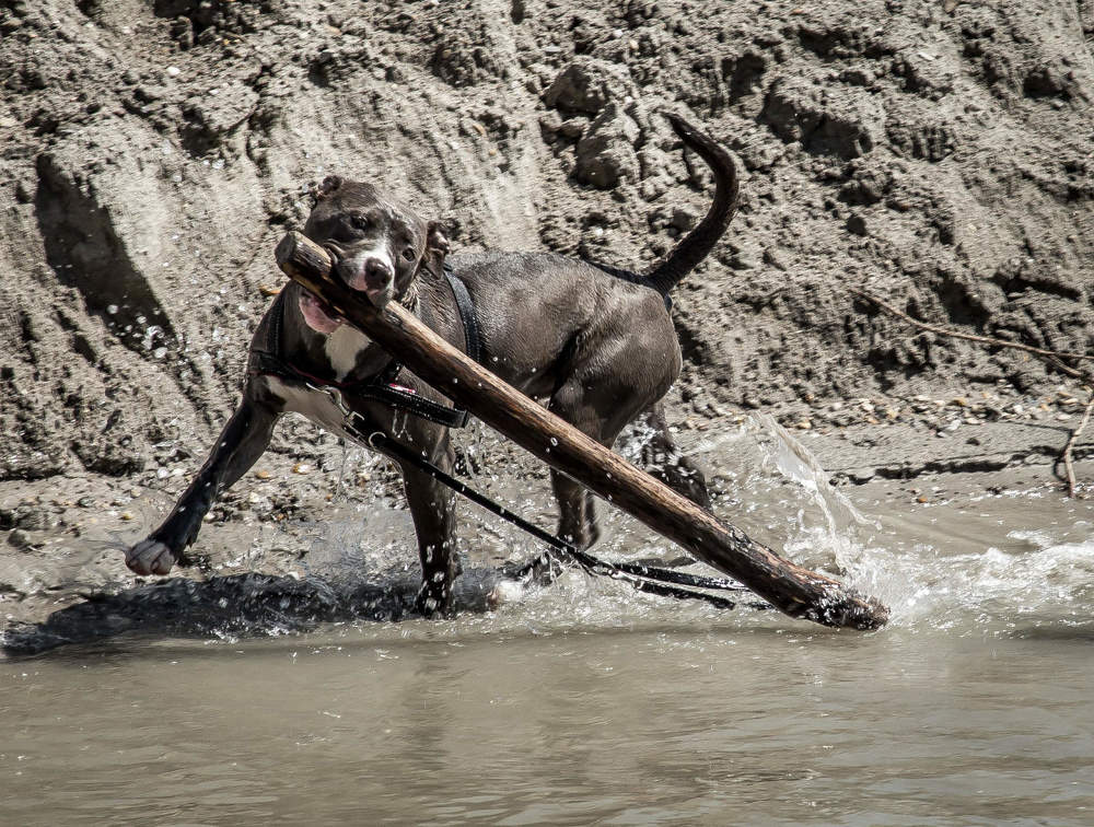 Photograph by Elena Gebert