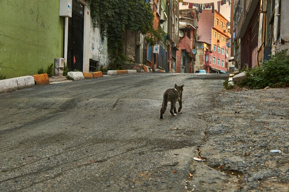 Photograph by Ирина Секачева