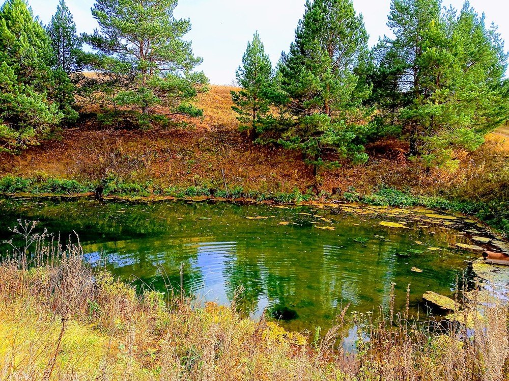 Photograph by Лариса Капустина