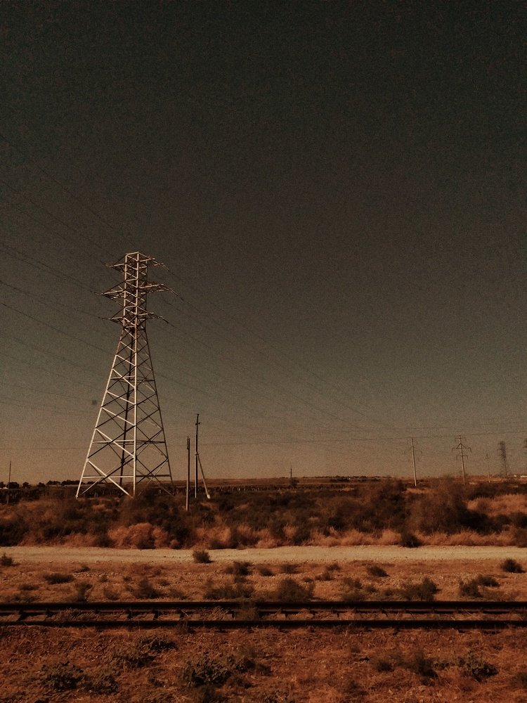 Photo #3782330