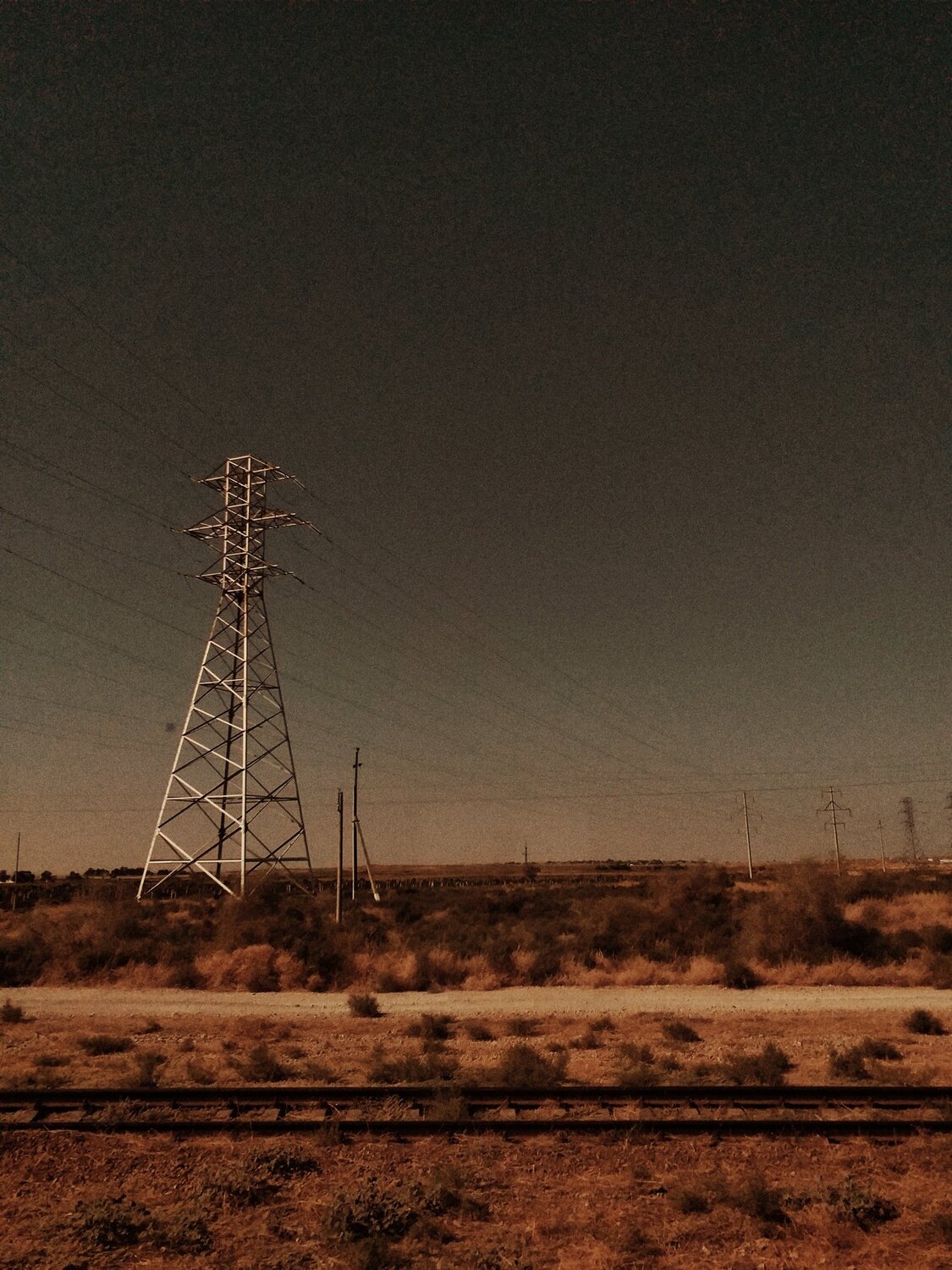 Photo #3782330