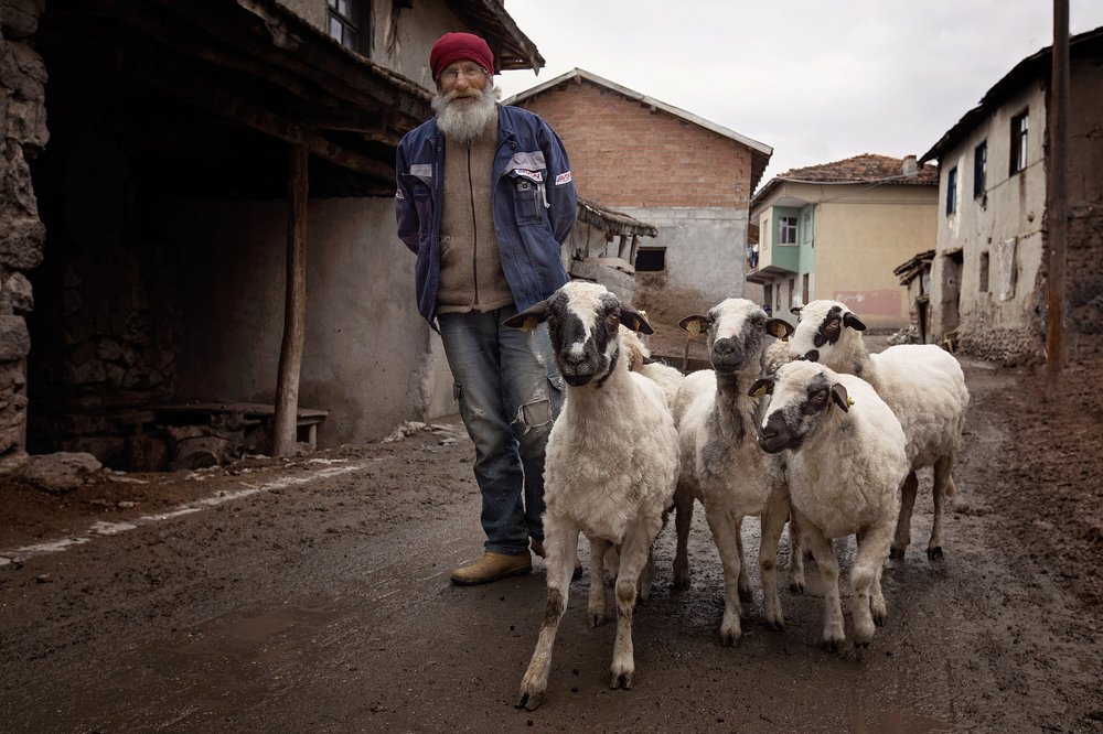 Фотография автора FATIH GONUL