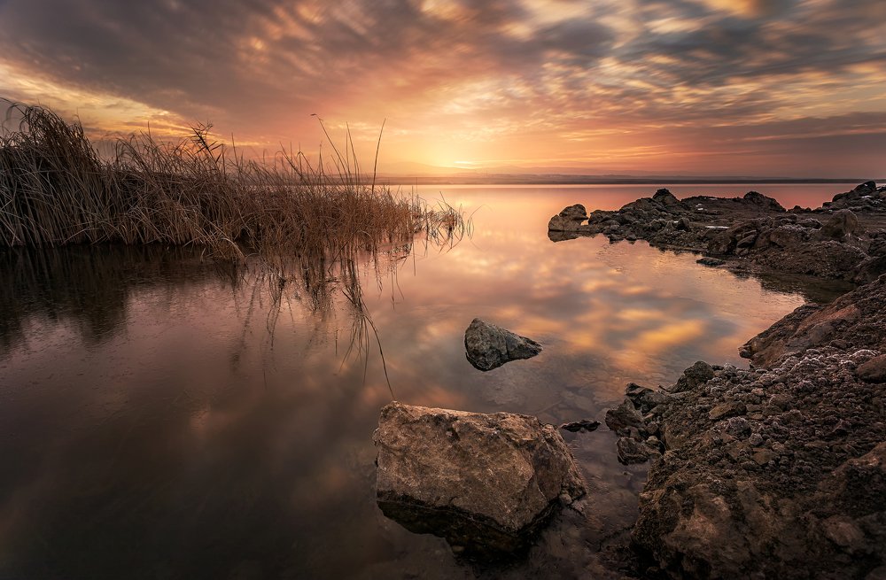 Фотография автора FATIH GONUL