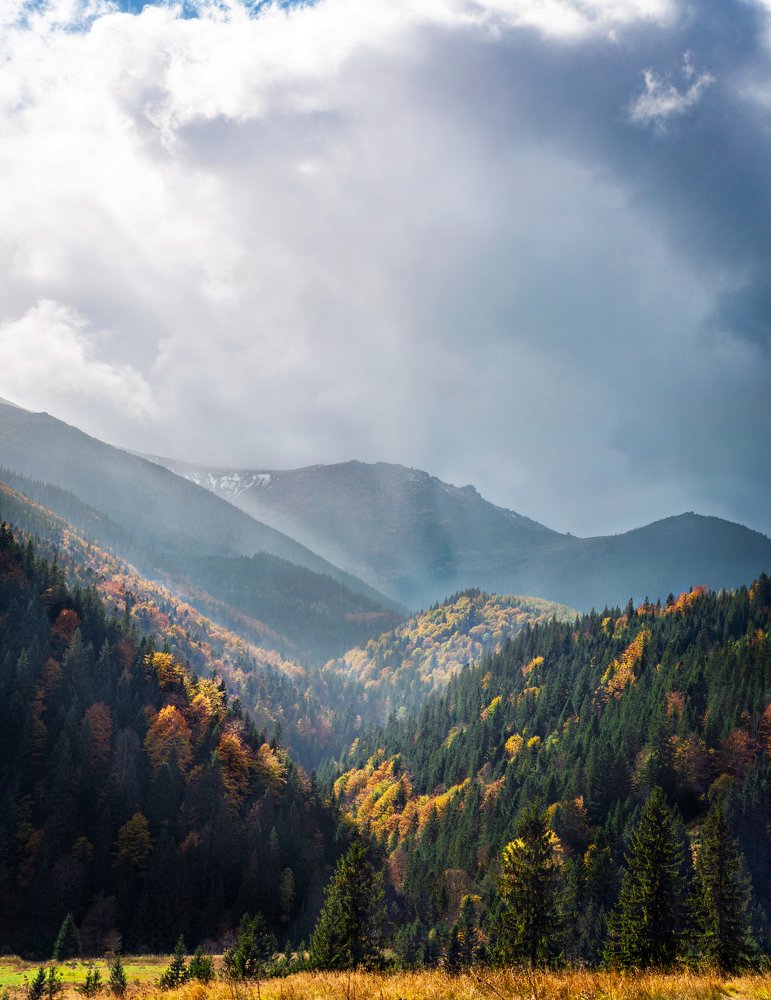 Photograph by Ольга Дзюба