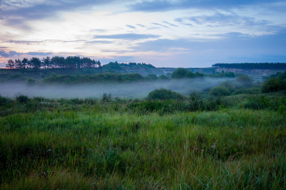 Туманное утро
