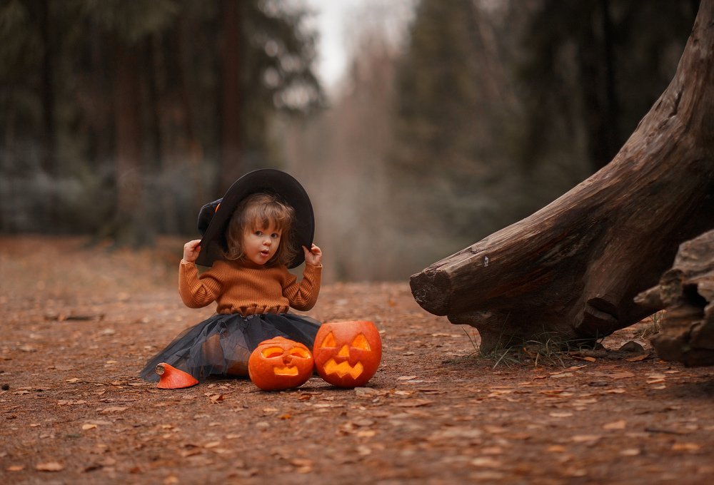 Фотография автора Елена Петрова