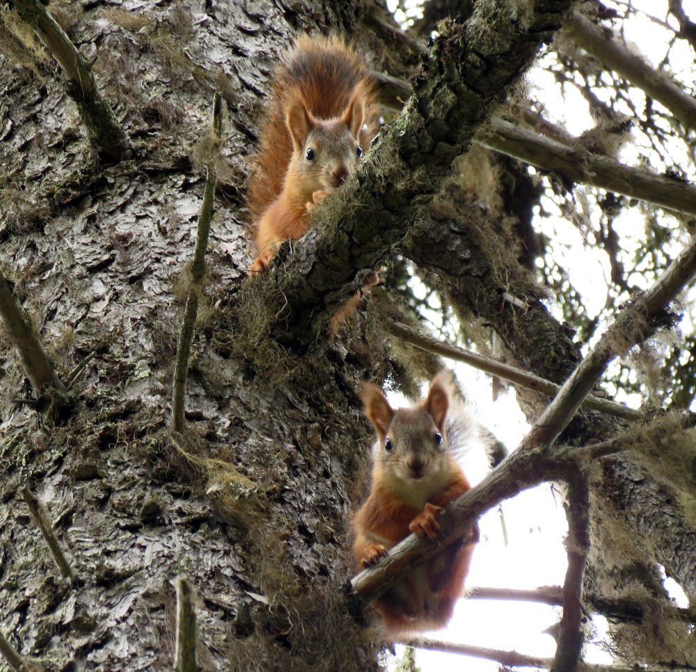 Photograph by Илья Сандлер