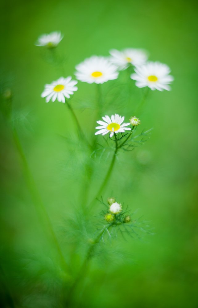 Photograph by Татьяна Макотра