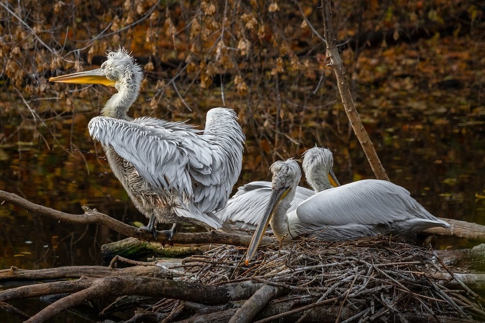 Photograph by Артем Зубарев