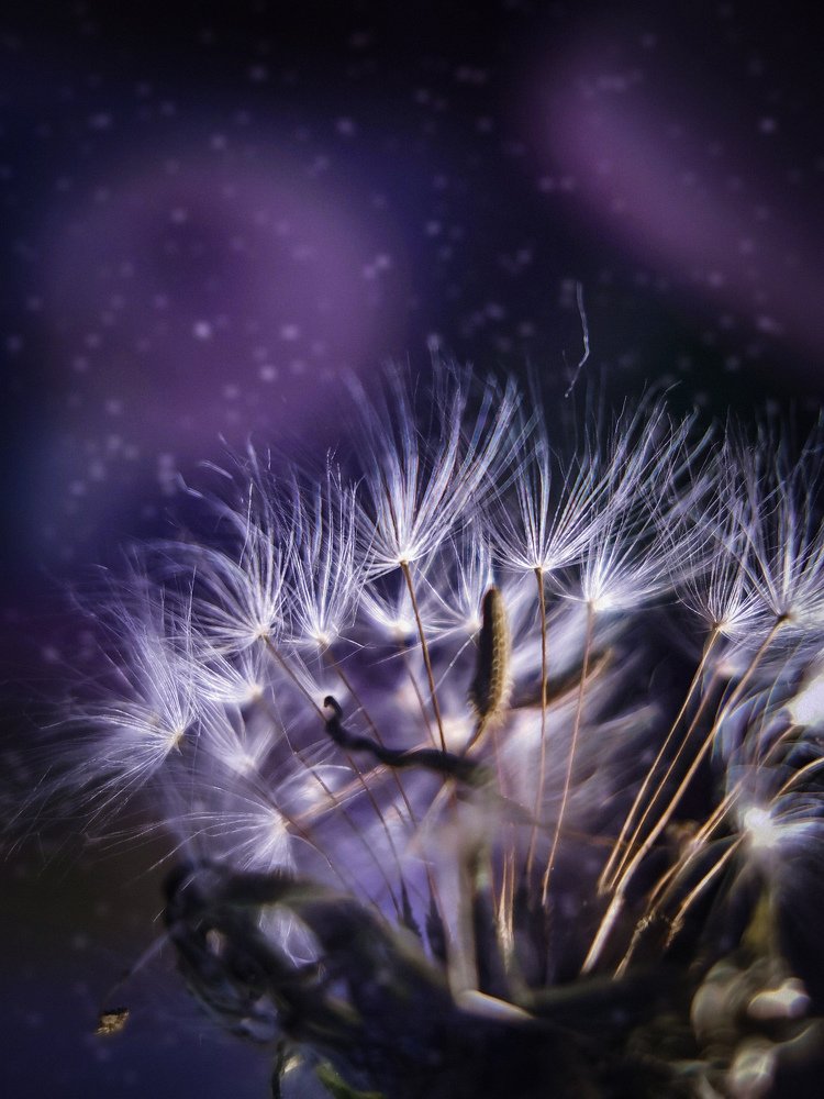 Photograph by Людмила Носова