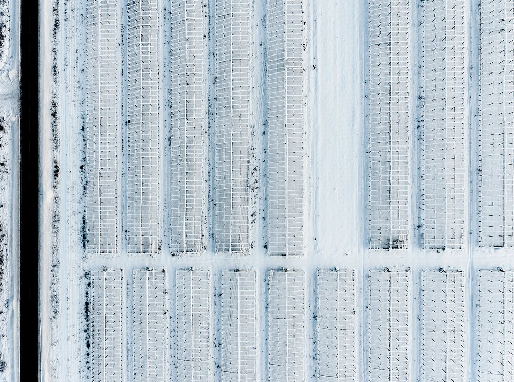 Photograph by Милена Дьяконова