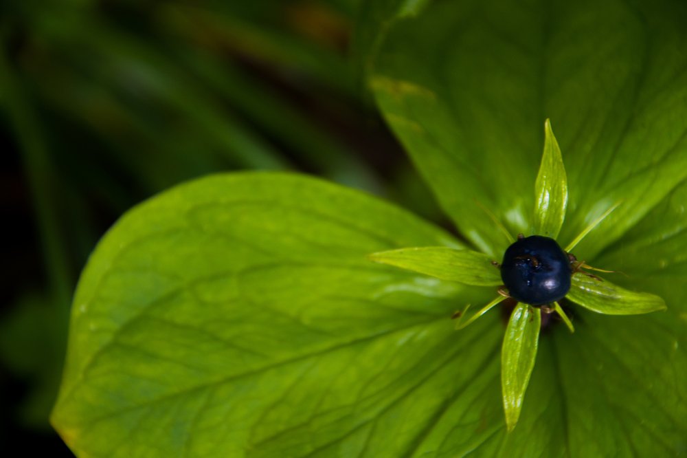 Photograph by Gorodetskiy Konstantin