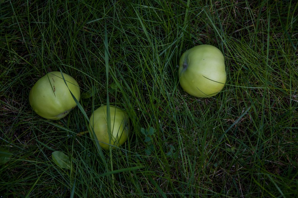 Photograph by Gorodetskiy Konstantin