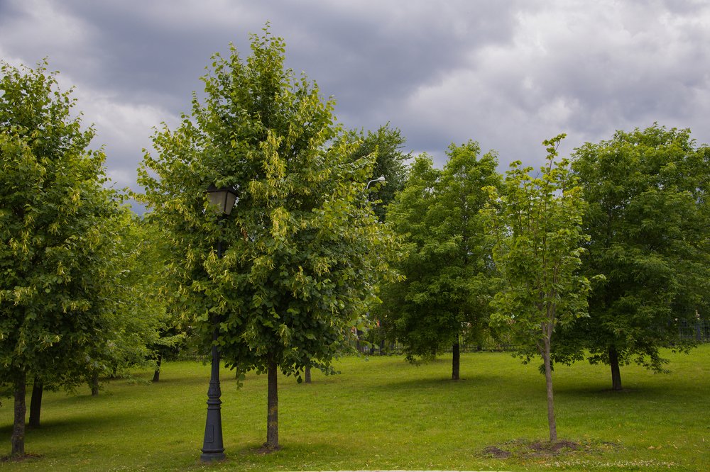 Photograph by Gorodetskiy Konstantin