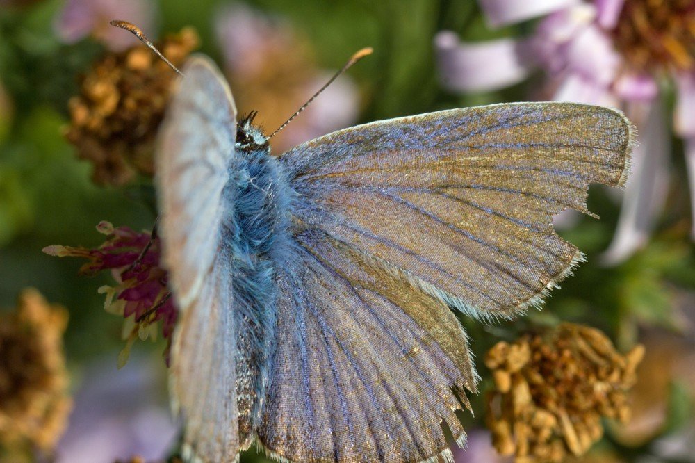 Photograph by Алексей Тимофеев