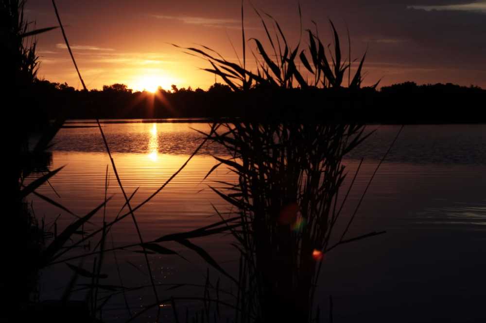 Photograph by Алексей Тимофеев