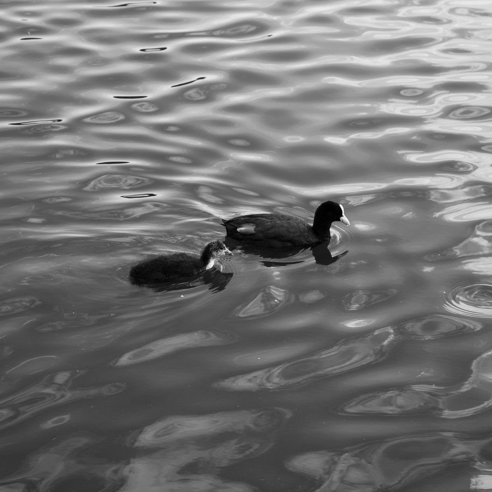 Photograph by Amanda Golton