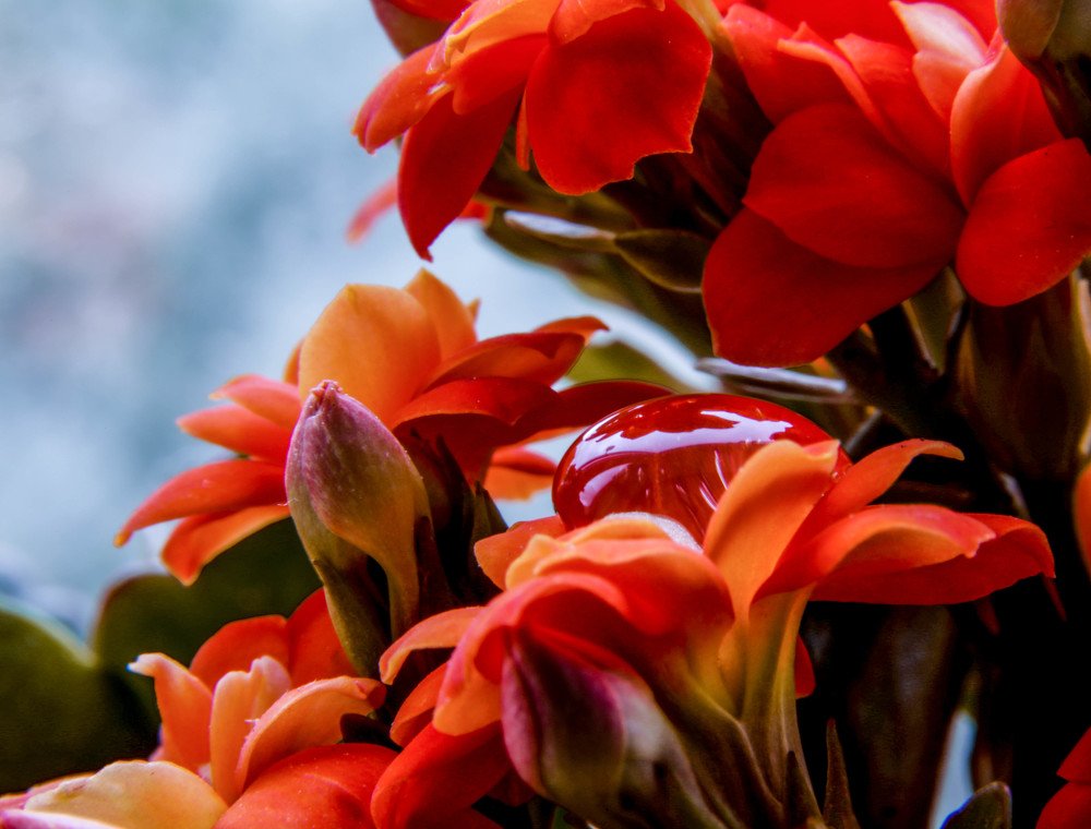 В одиночестве