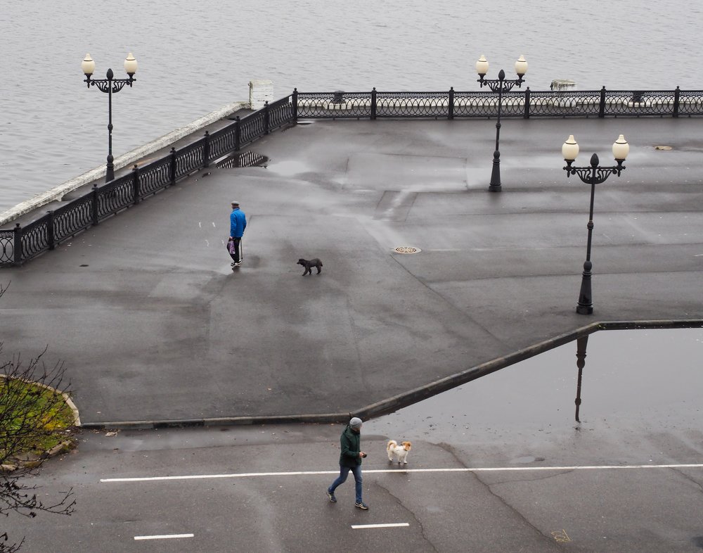 Дяди с собачками.