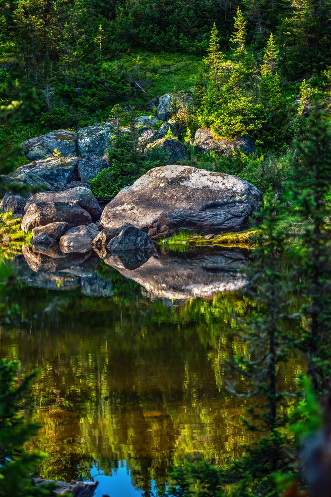 Photograph by Ольга Ли