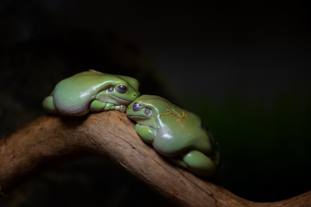 Photograph by Ольга Тюгина