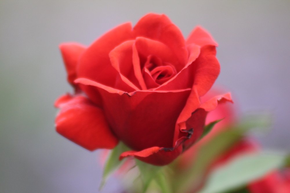 Photograph by Елена Демочкина