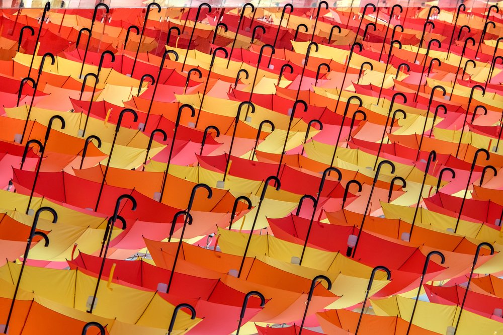 Фотография автора khai nguyen tuan