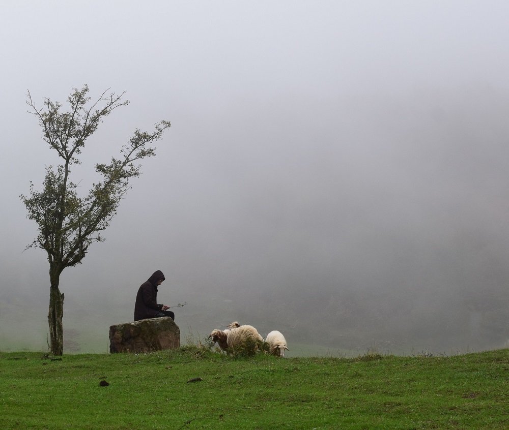 Photograph by Fereydoon ranjkesh