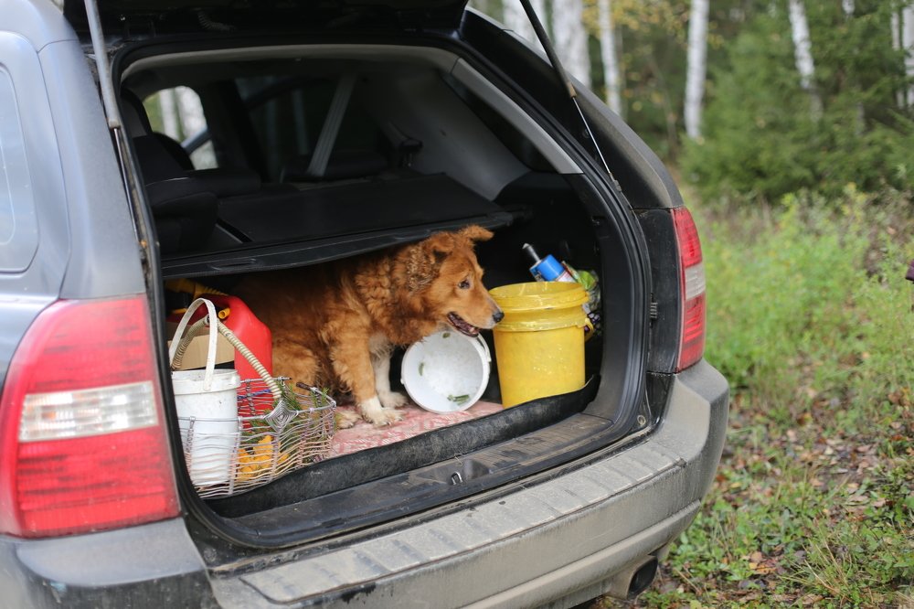 Photograph by Александра Вотякова
