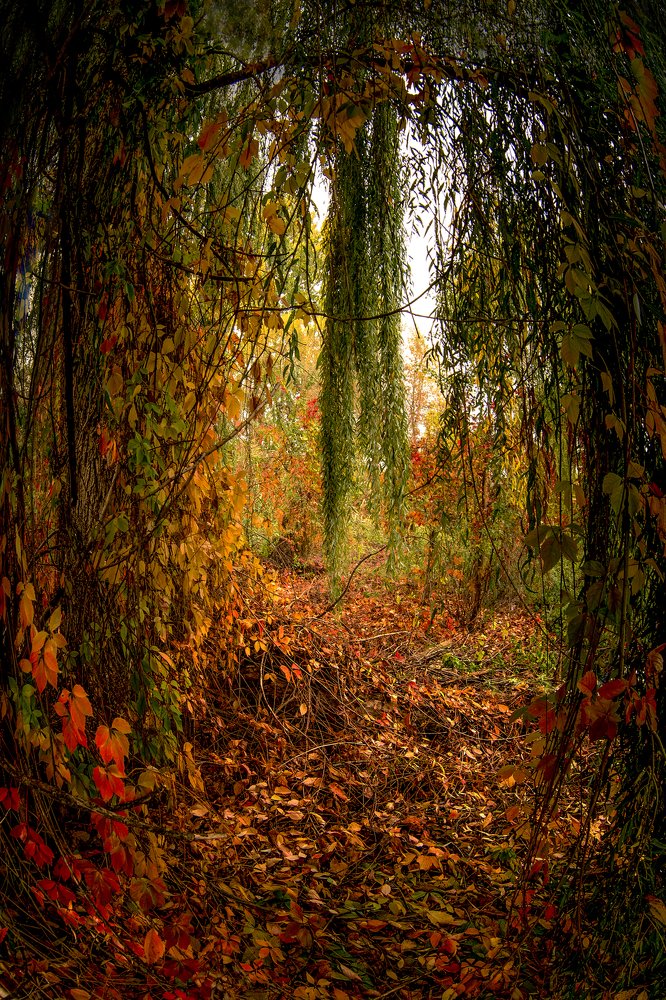 Врата Осени....