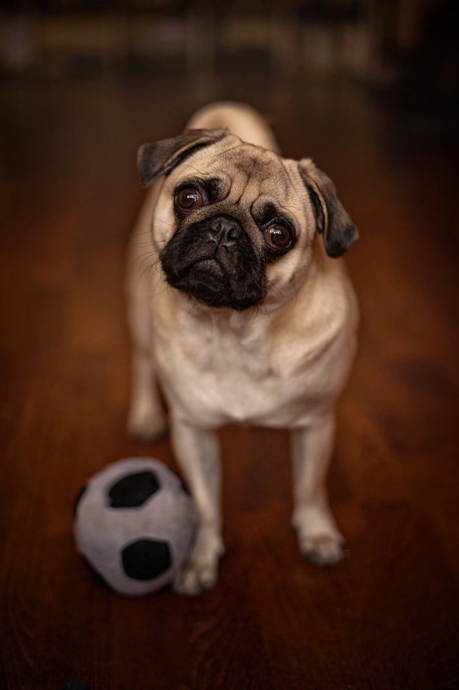 Photograph by Elena Yilmaz