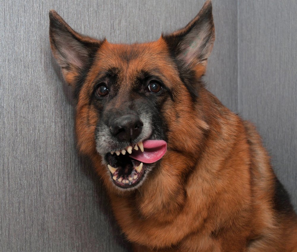 Photograph by Алёна Сокольникова