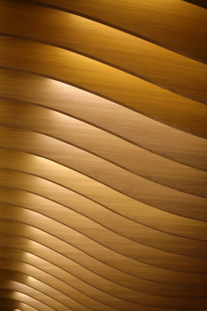 Photograph by Sina Ranaei