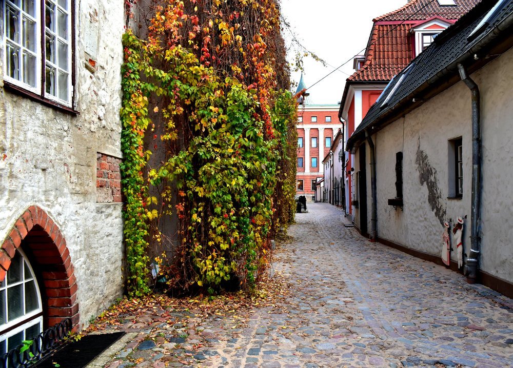 Осенний вечер / Autumn evening