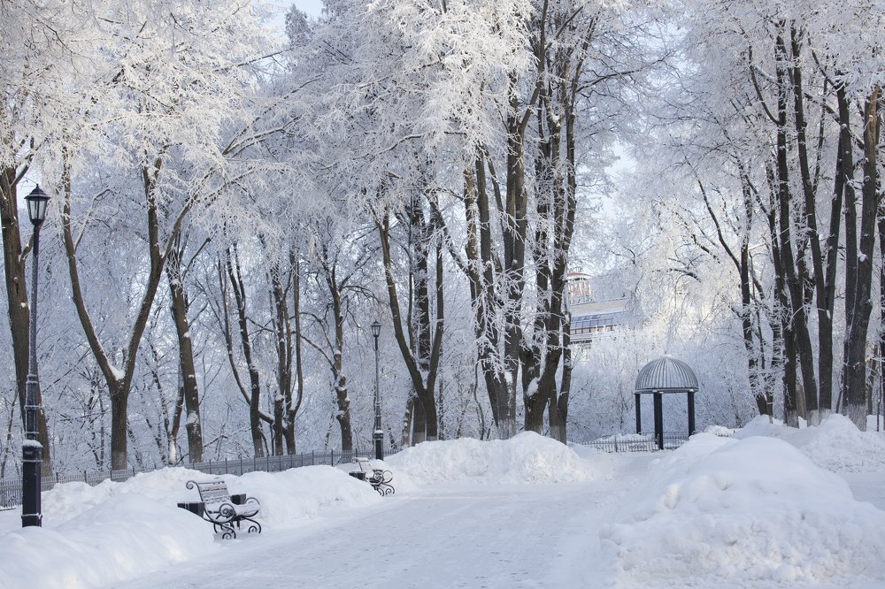 Только снег