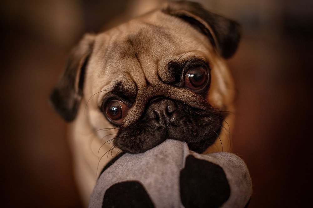 Photograph by Elena Yilmaz