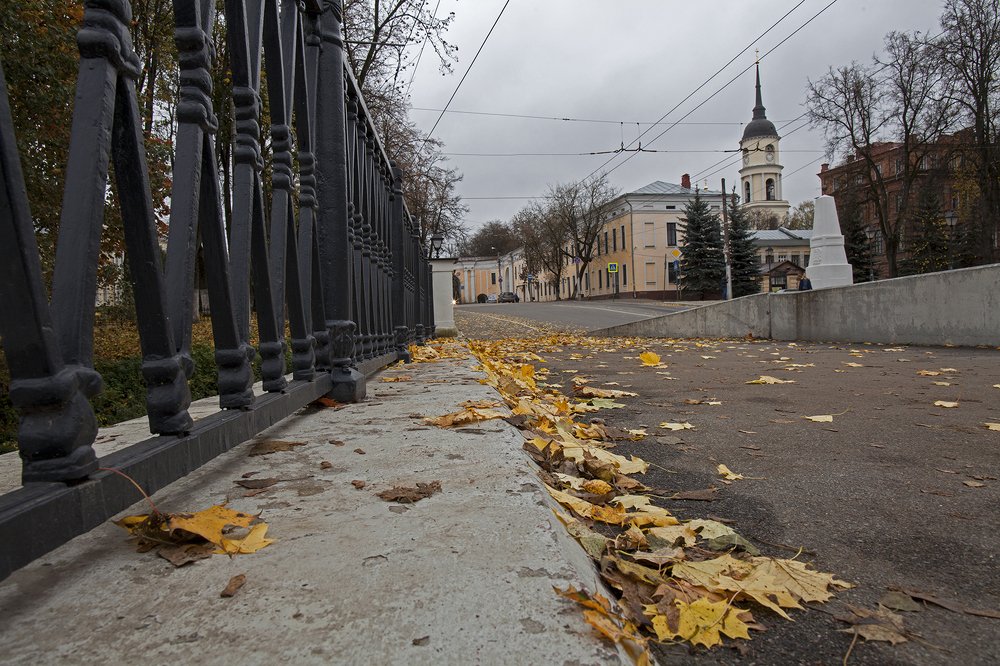 Листья на Каменном мосту