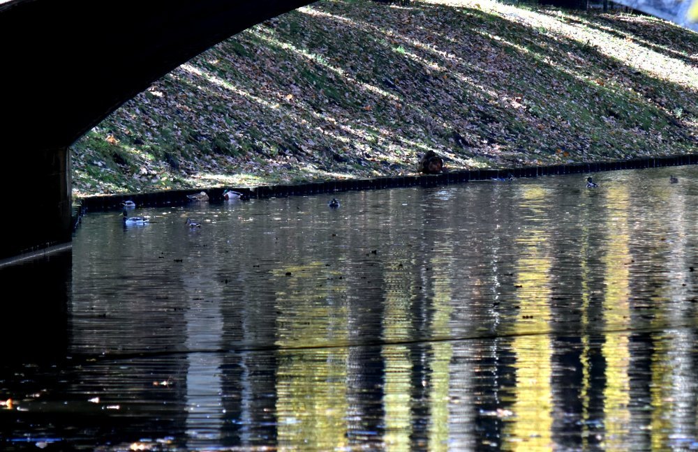 Photograph by Инна Сенкевич