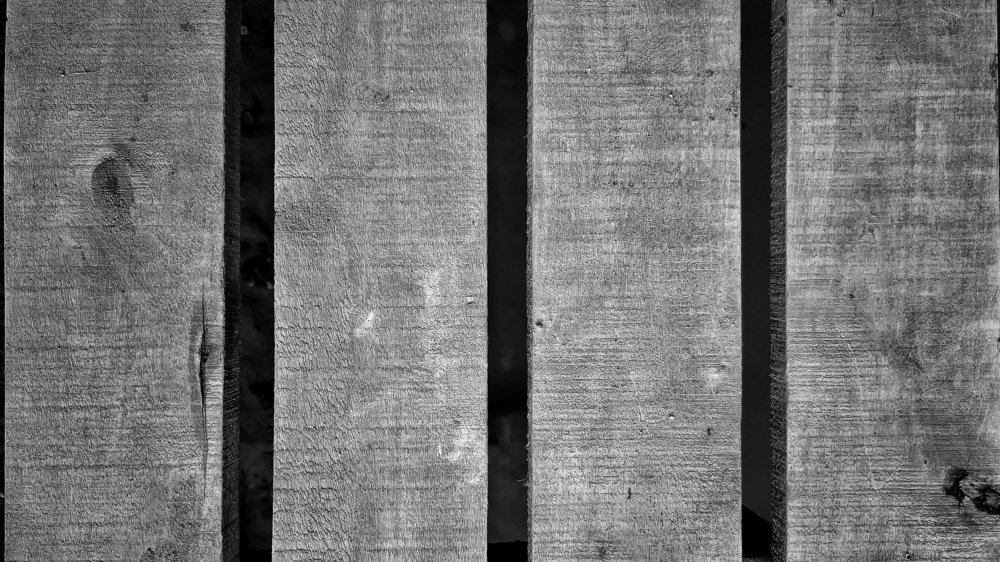 Photograph by Кирилл